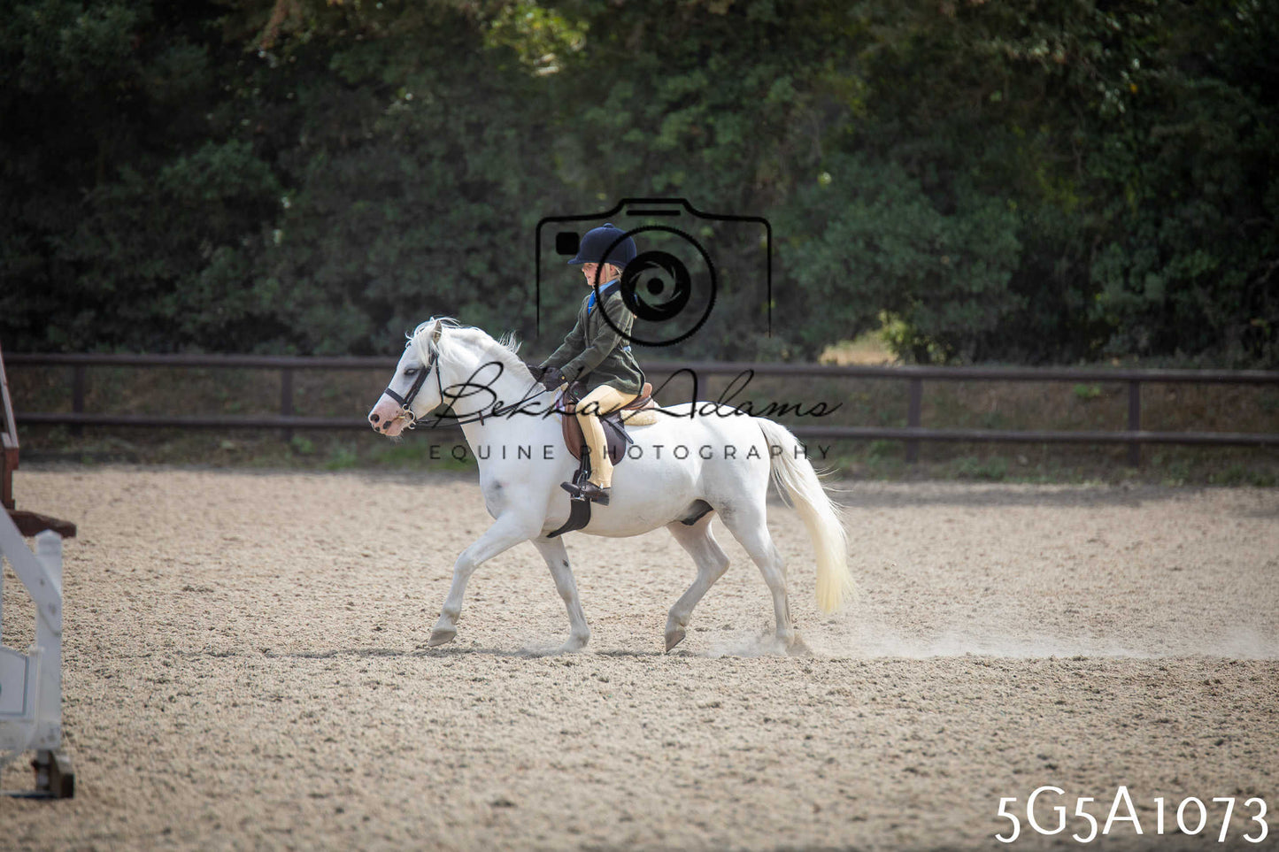 St Lawrence Charity Horse Show - Saturday pt2