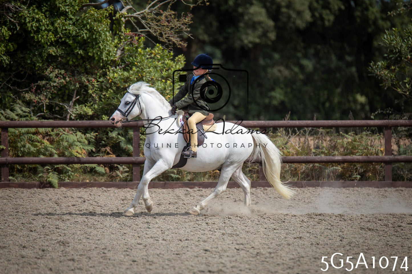St Lawrence Charity Horse Show - Saturday pt2