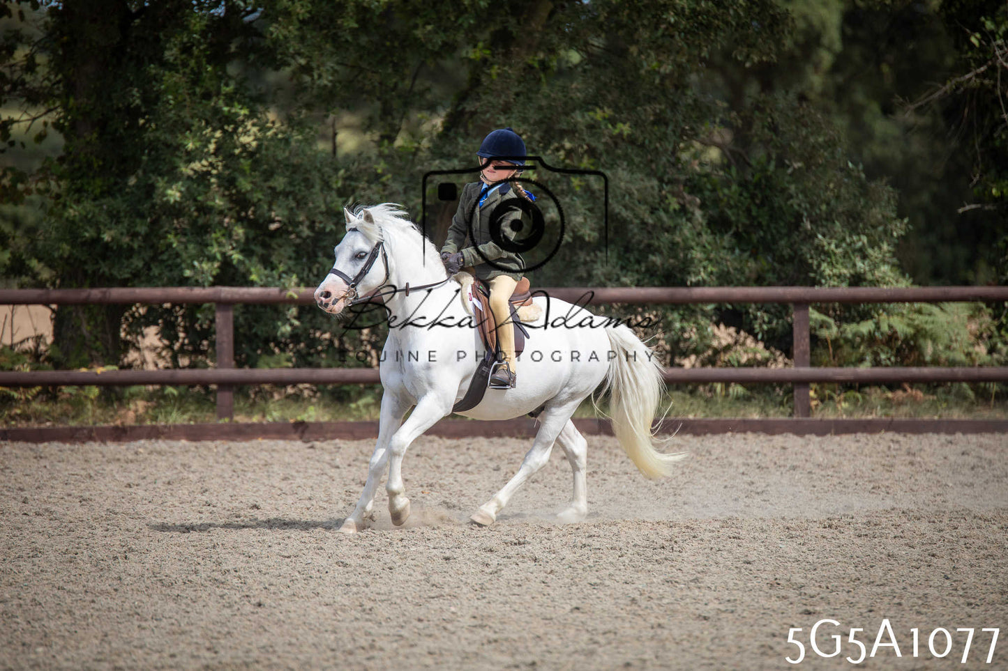 St Lawrence Charity Horse Show - Saturday pt2