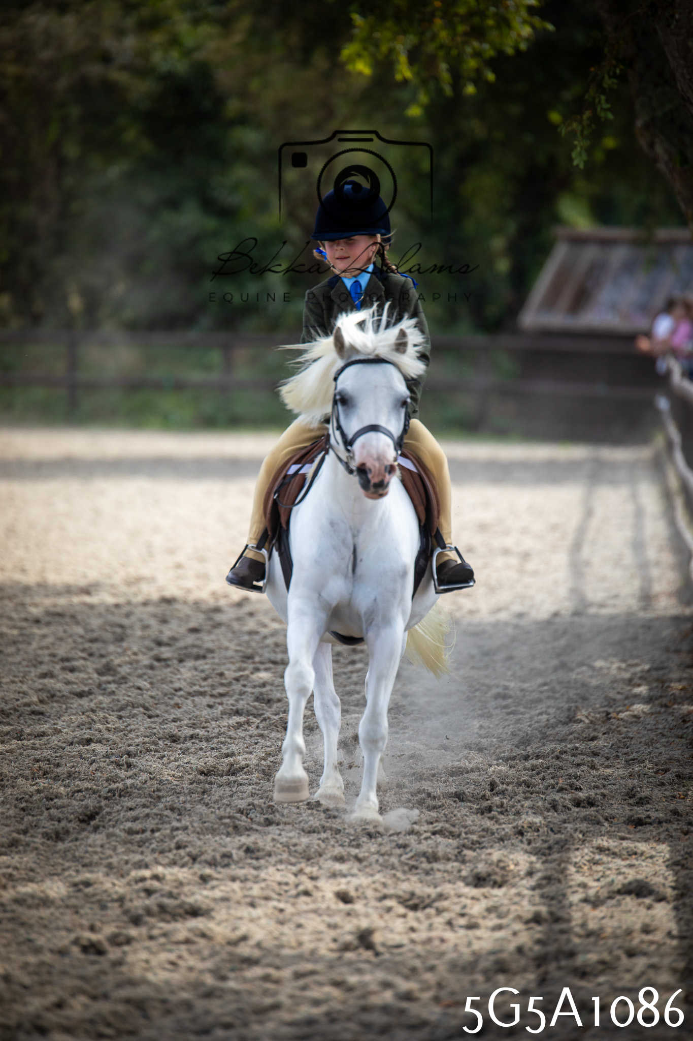 St Lawrence Charity Horse Show - Saturday pt2