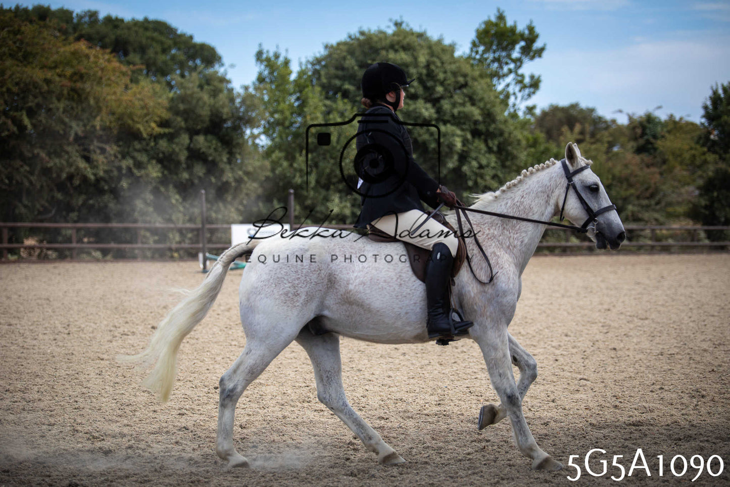 St Lawrence Charity Horse Show - Saturday pt2