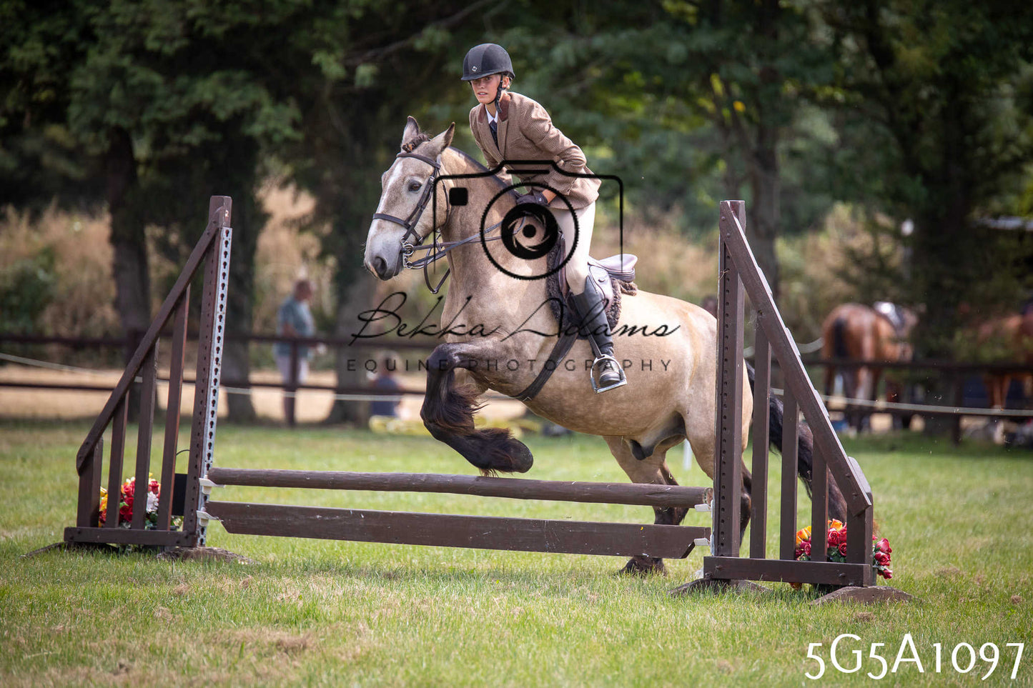 St Lawrence Charity Horse Show - Saturday pt2