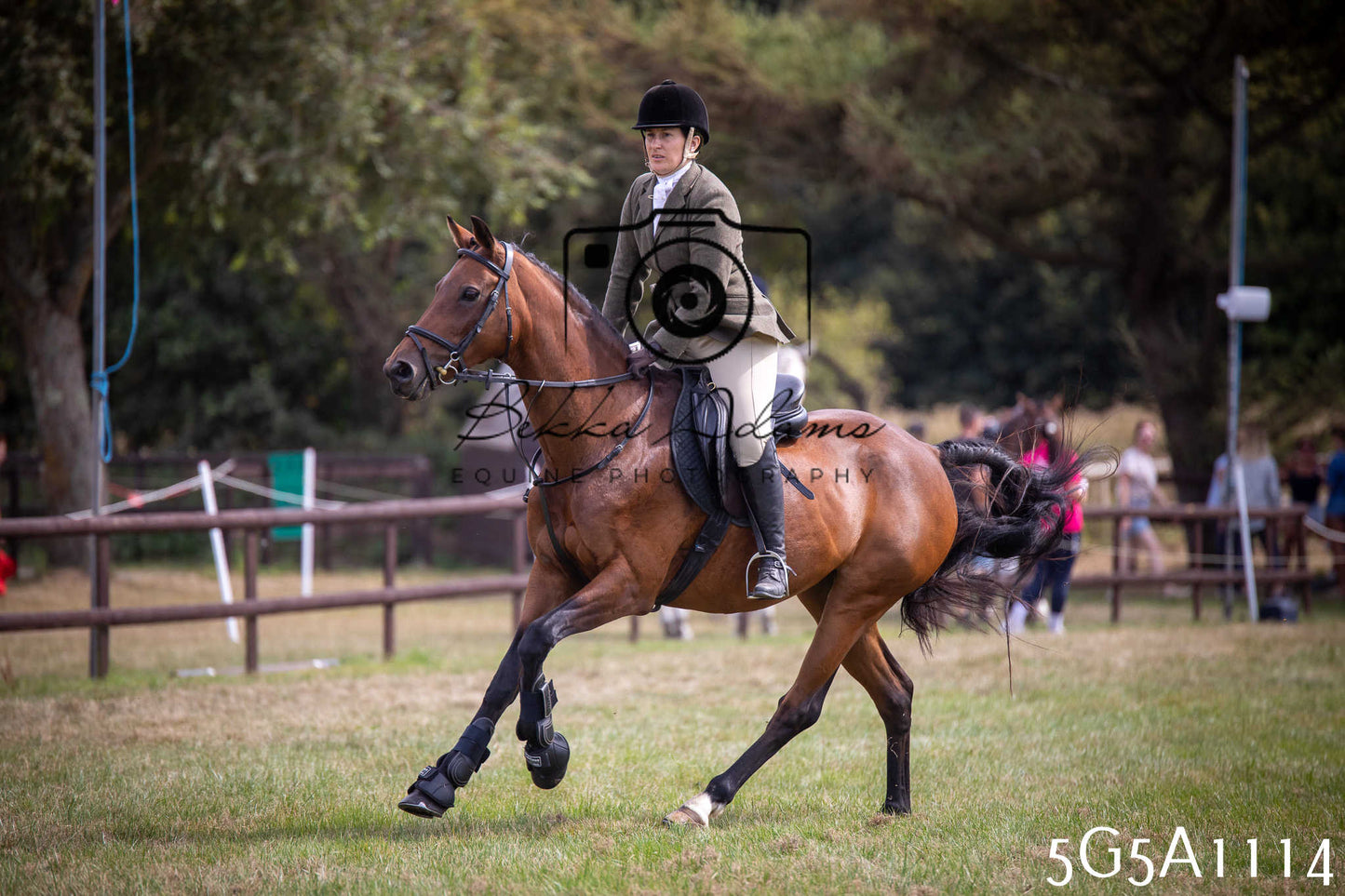 St Lawrence Charity Horse Show - Saturday pt2