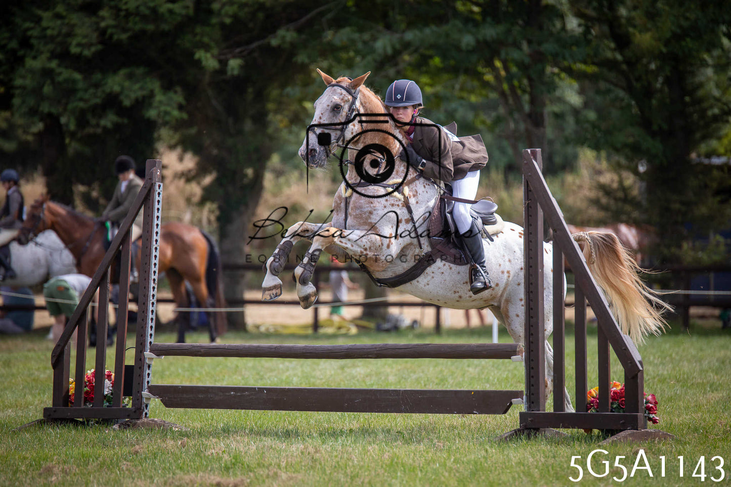 St Lawrence Charity Horse Show - Saturday pt2