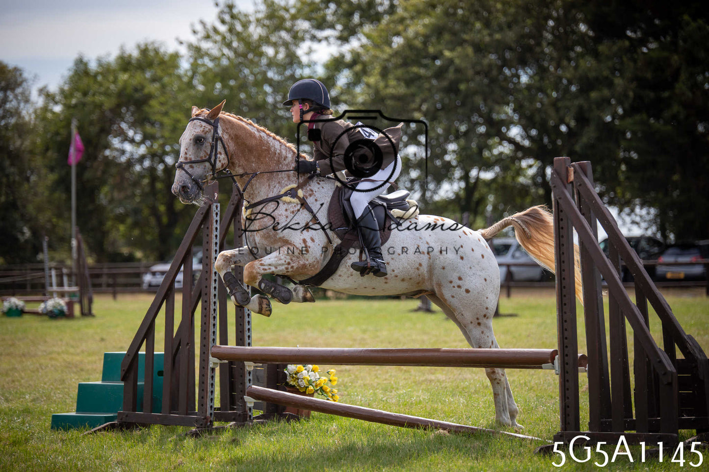 St Lawrence Charity Horse Show - Saturday pt2