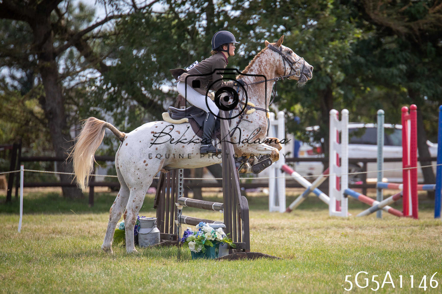 St Lawrence Charity Horse Show - Saturday pt2