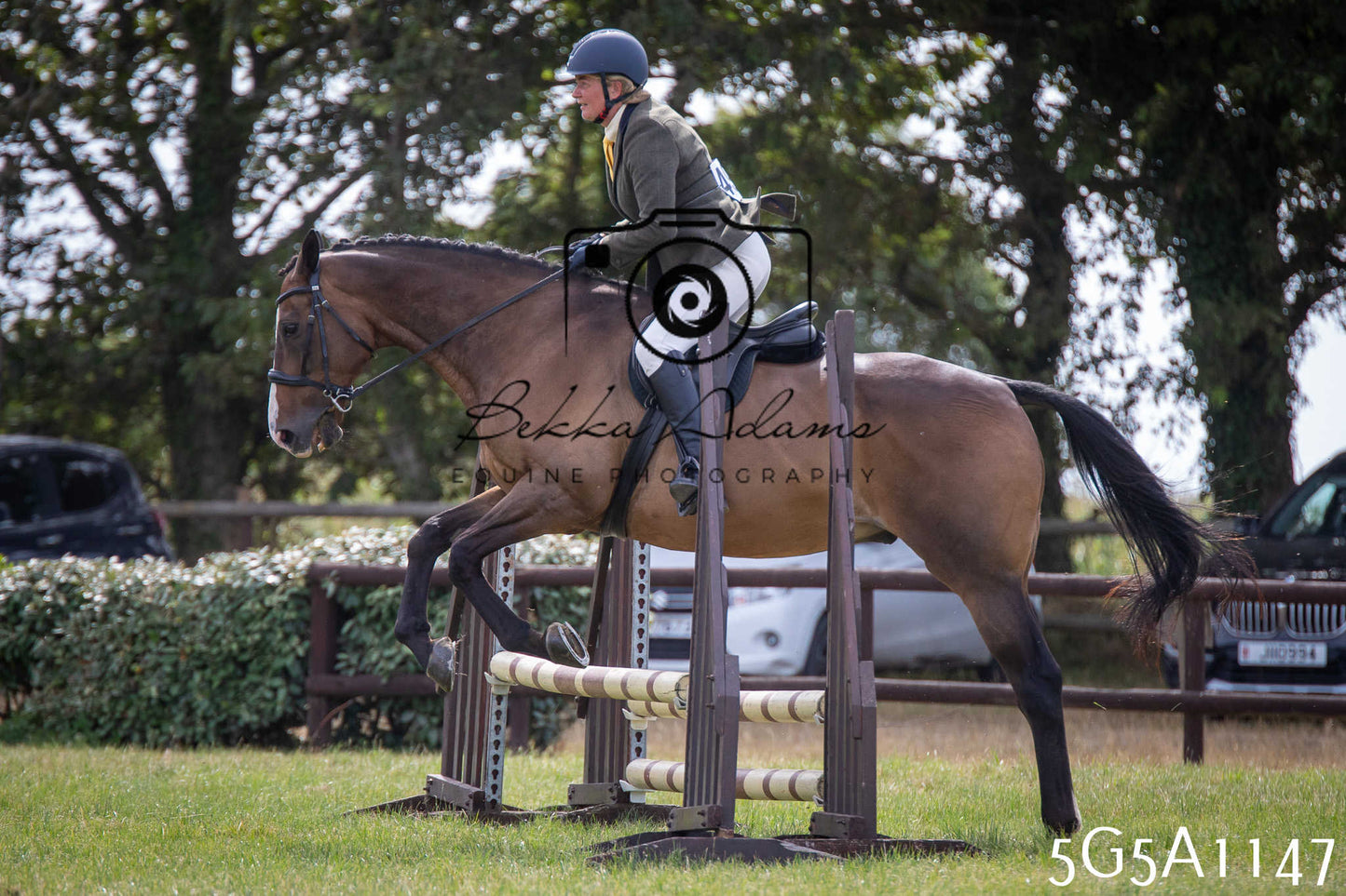 St Lawrence Charity Horse Show - Saturday pt2