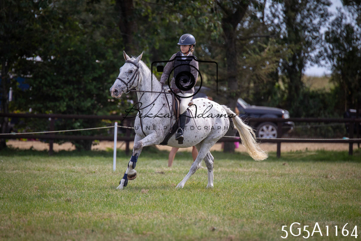 St Lawrence Charity Horse Show - Saturday pt2