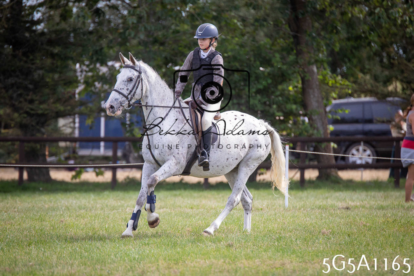 St Lawrence Charity Horse Show - Saturday pt2