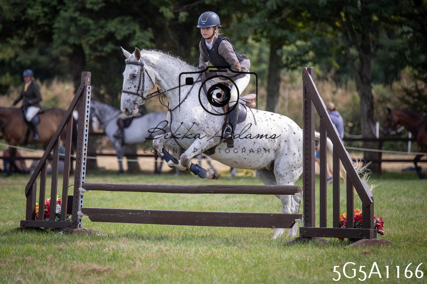 St Lawrence Charity Horse Show - Saturday pt2