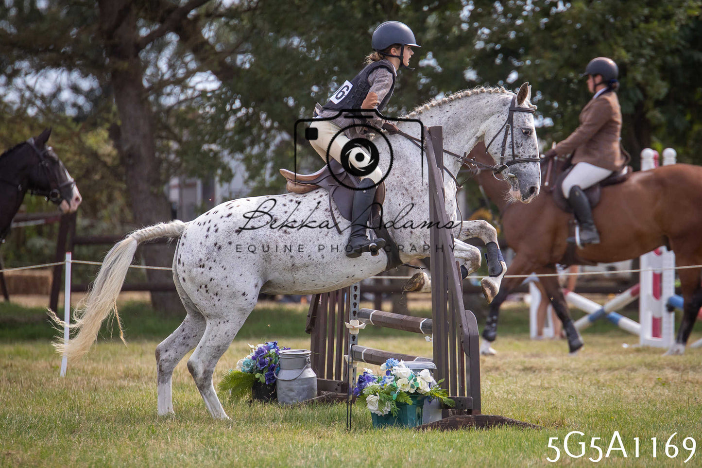 St Lawrence Charity Horse Show - Saturday pt2
