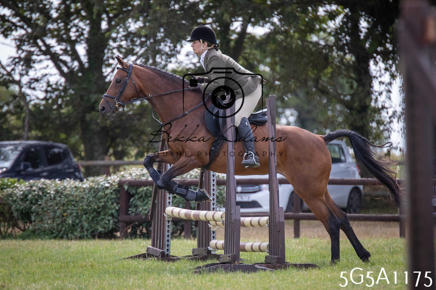 St Lawrence Charity Horse Show - Saturday pt2
