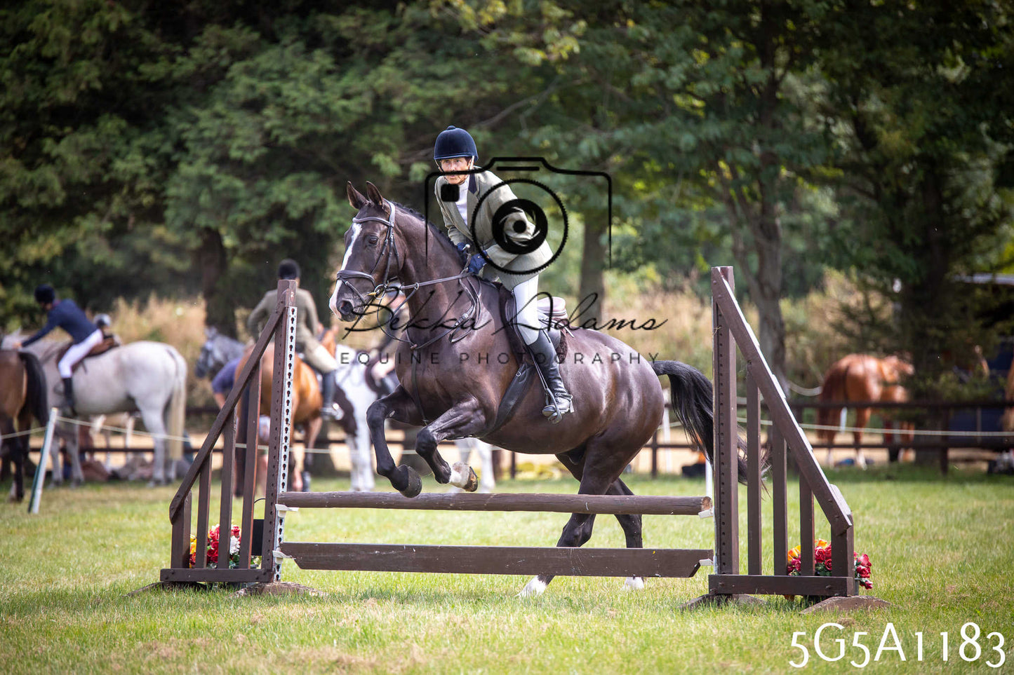 St Lawrence Charity Horse Show - Saturday pt3