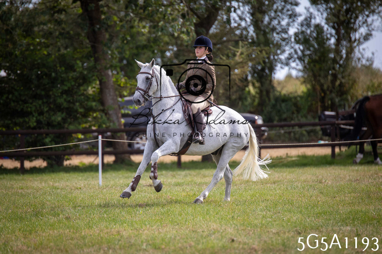 St Lawrence Charity Horse Show - Saturday pt3