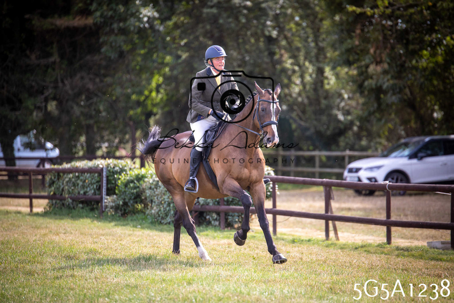 St Lawrence Charity Horse Show - Saturday pt3