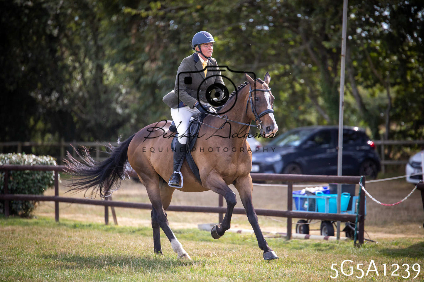 St Lawrence Charity Horse Show - Saturday pt3