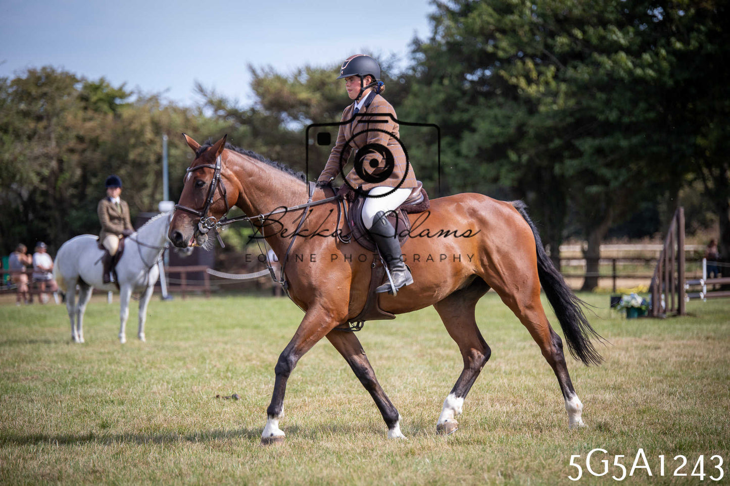 St Lawrence Charity Horse Show - Saturday pt3
