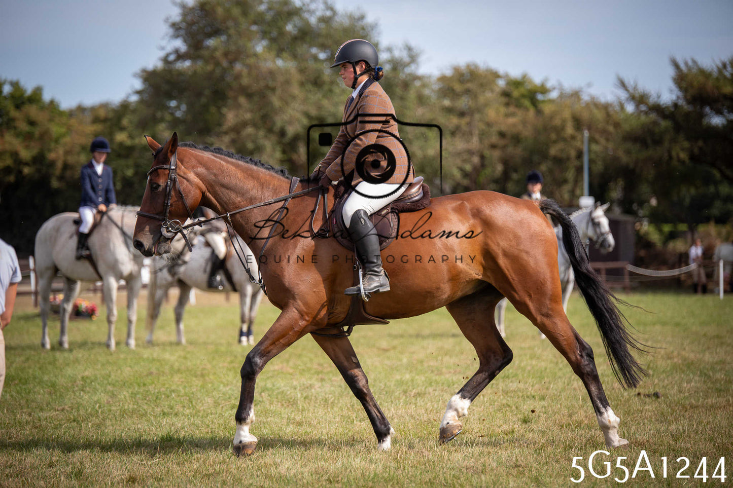 St Lawrence Charity Horse Show - Saturday pt3