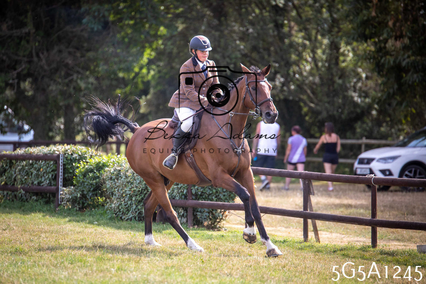 St Lawrence Charity Horse Show - Saturday pt3