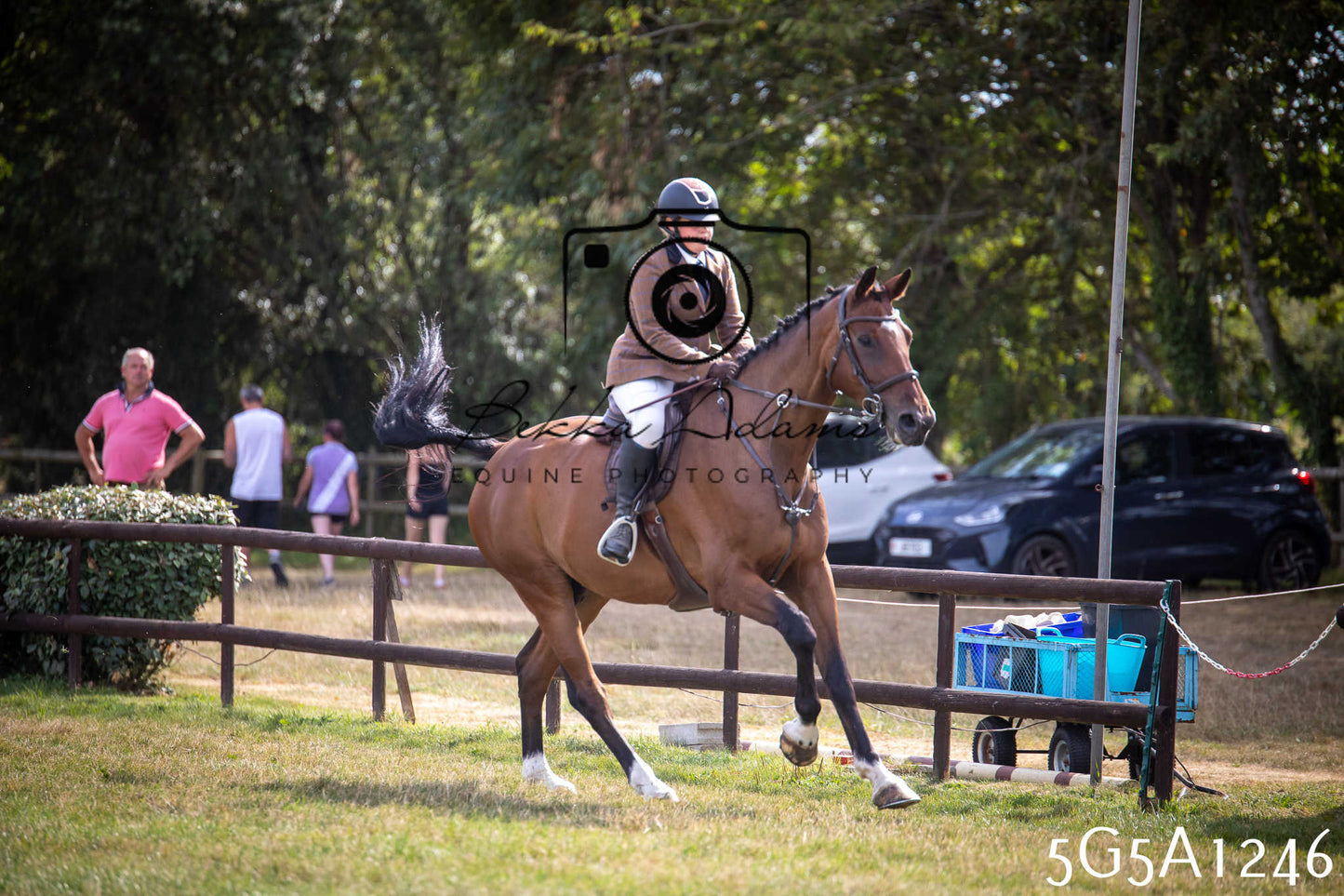 St Lawrence Charity Horse Show - Saturday pt3