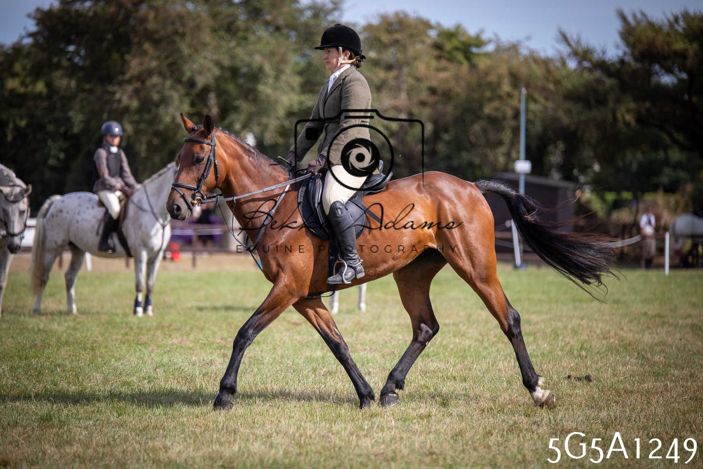 St Lawrence Charity Horse Show - Saturday pt3