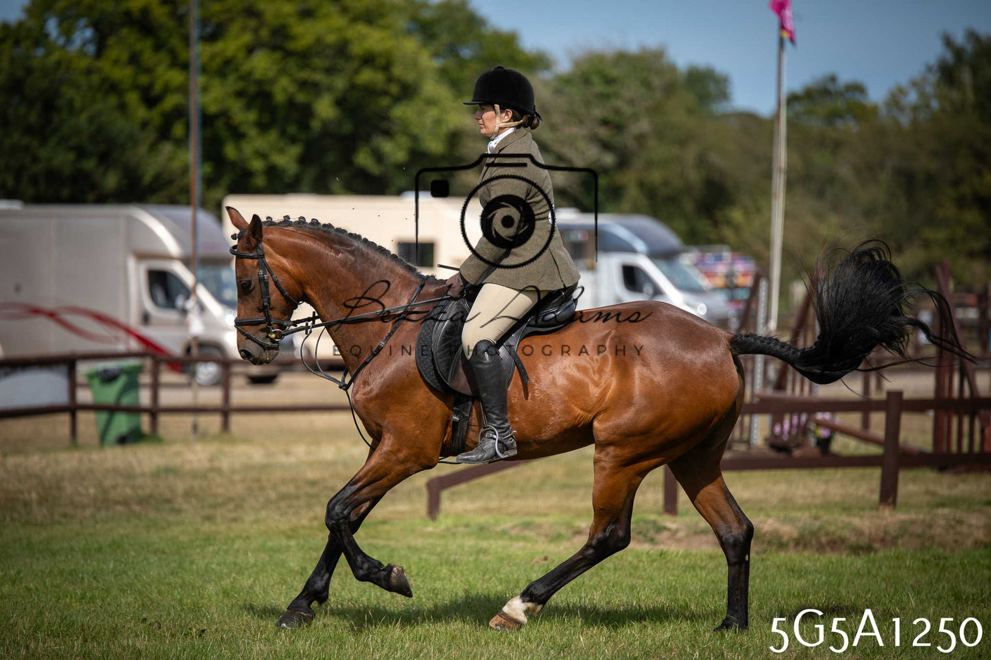 St Lawrence Charity Horse Show - Saturday pt3