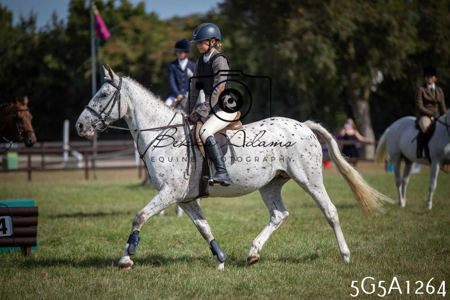 St Lawrence Charity Horse Show - Saturday pt3