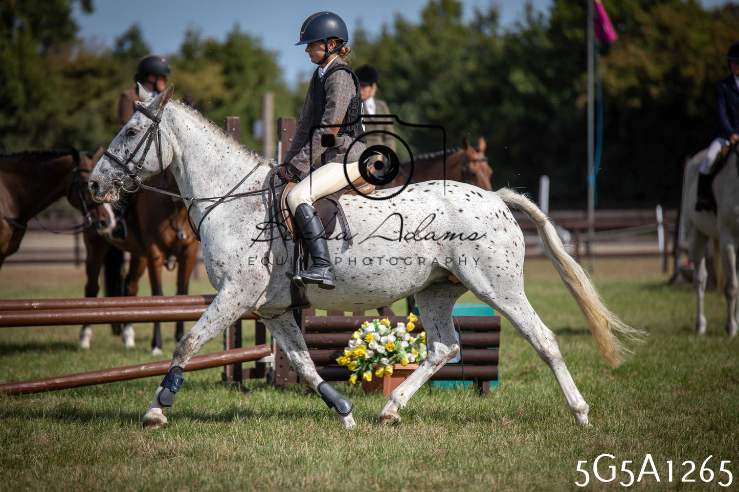 St Lawrence Charity Horse Show - Saturday pt3