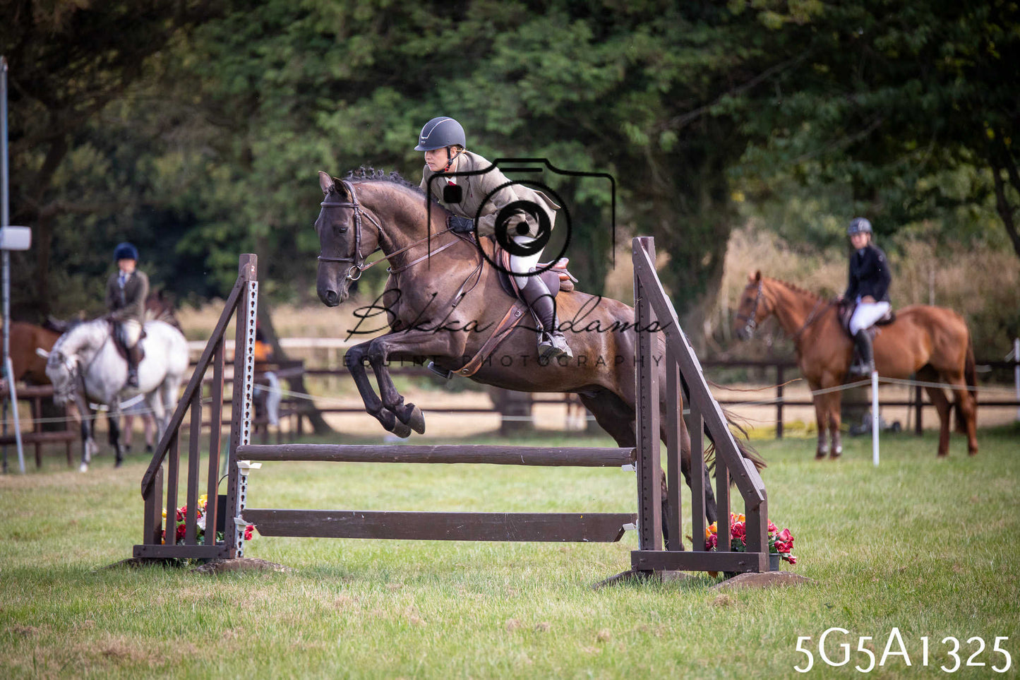 St Lawrence Charity Horse Show - Saturday pt3