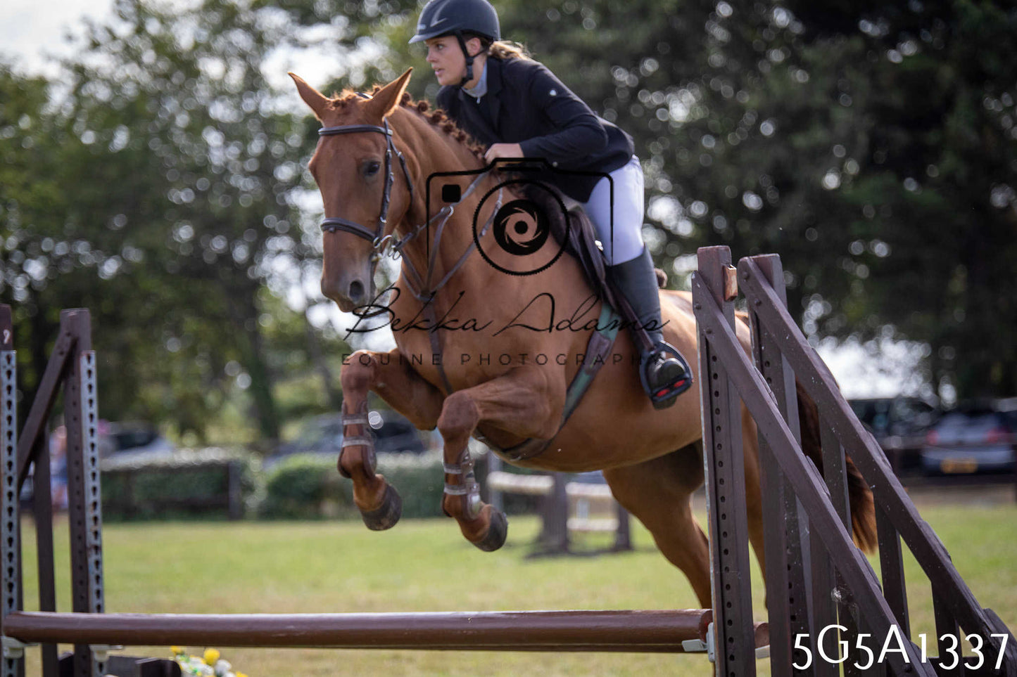 St Lawrence Charity Horse Show - Saturday pt3