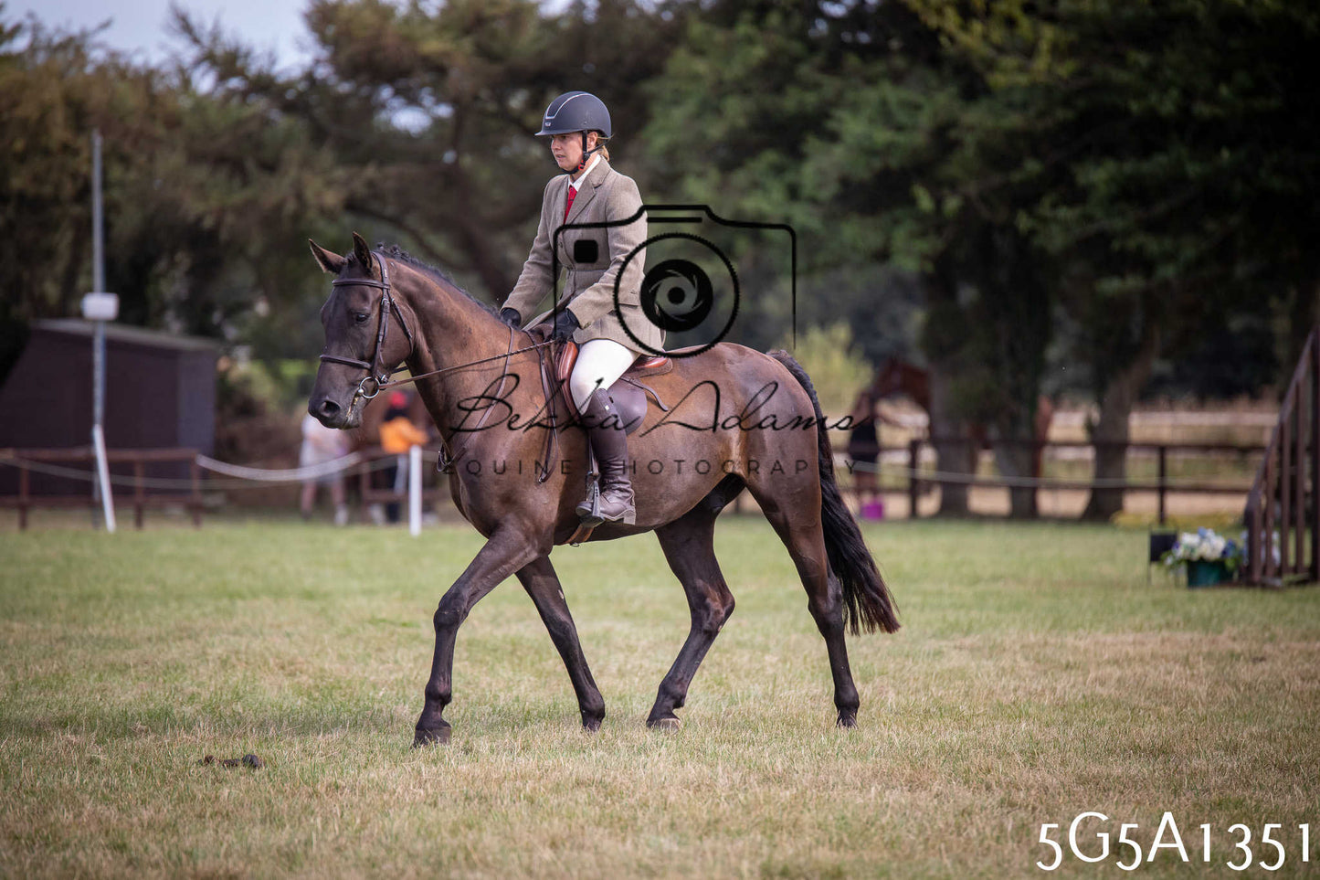 St Lawrence Charity Horse Show - Saturday pt3