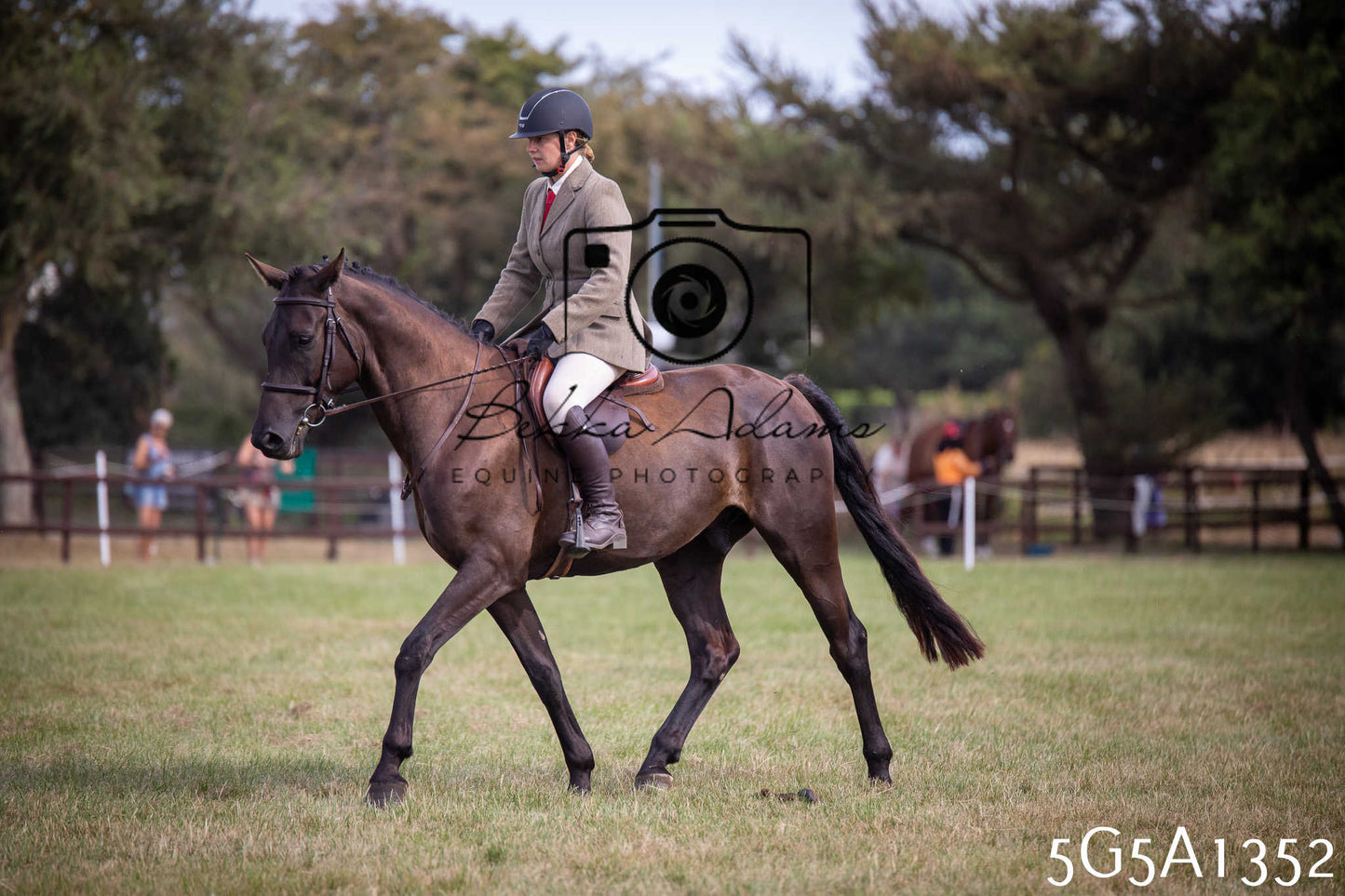 St Lawrence Charity Horse Show - Saturday pt3