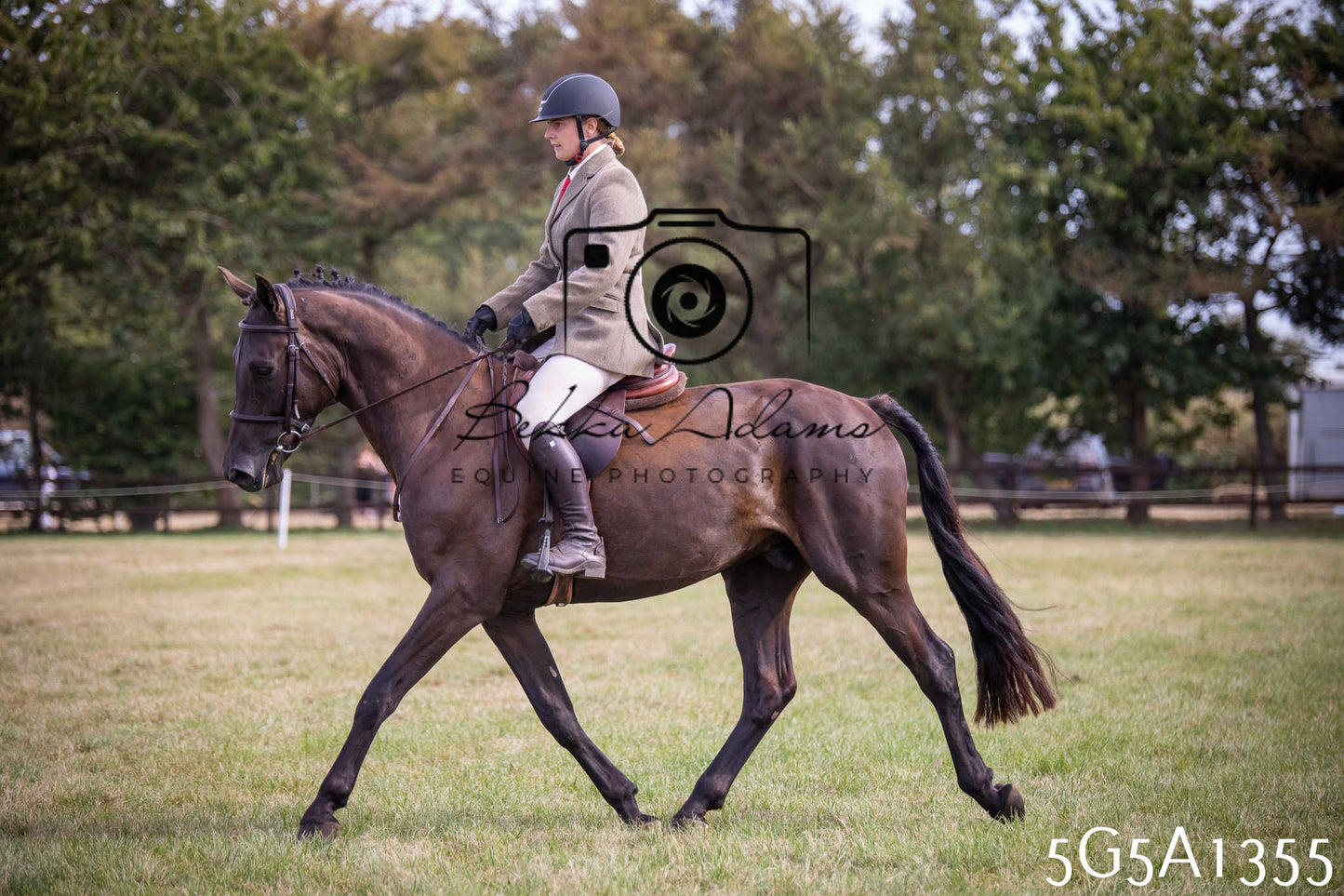 St Lawrence Charity Horse Show - Saturday pt3