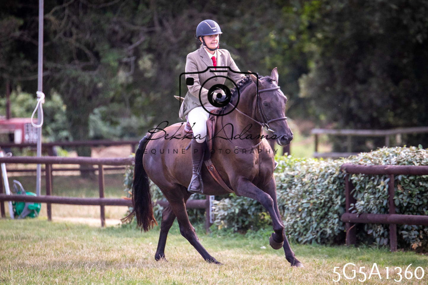 St Lawrence Charity Horse Show - Saturday pt3