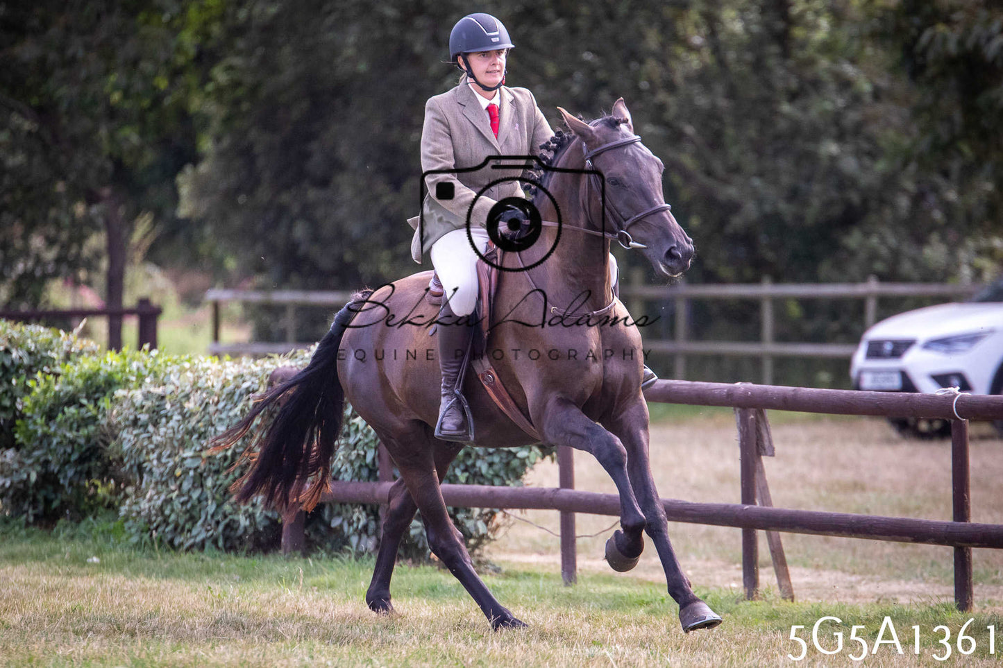 St Lawrence Charity Horse Show - Saturday pt3