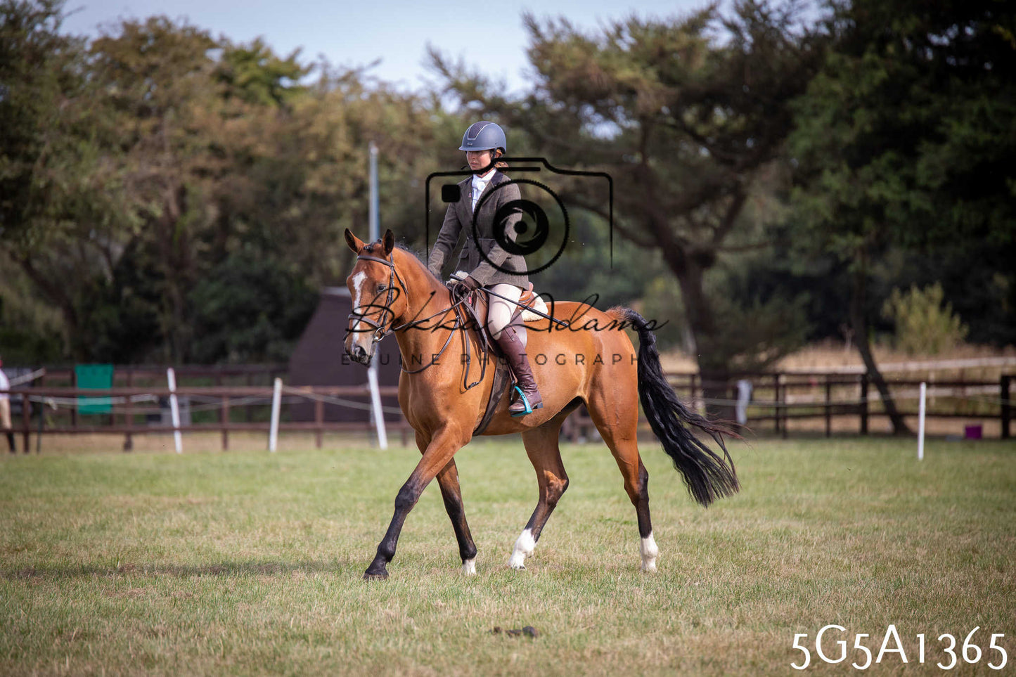 St Lawrence Charity Horse Show - Saturday pt3