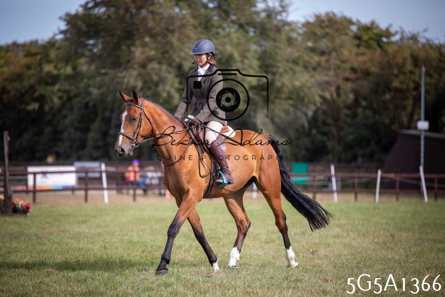 St Lawrence Charity Horse Show - Saturday pt3