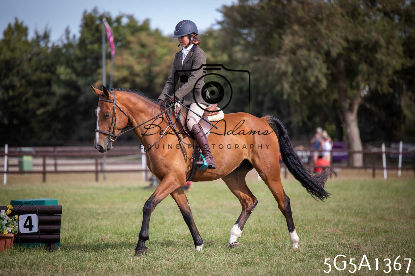 St Lawrence Charity Horse Show - Saturday pt3