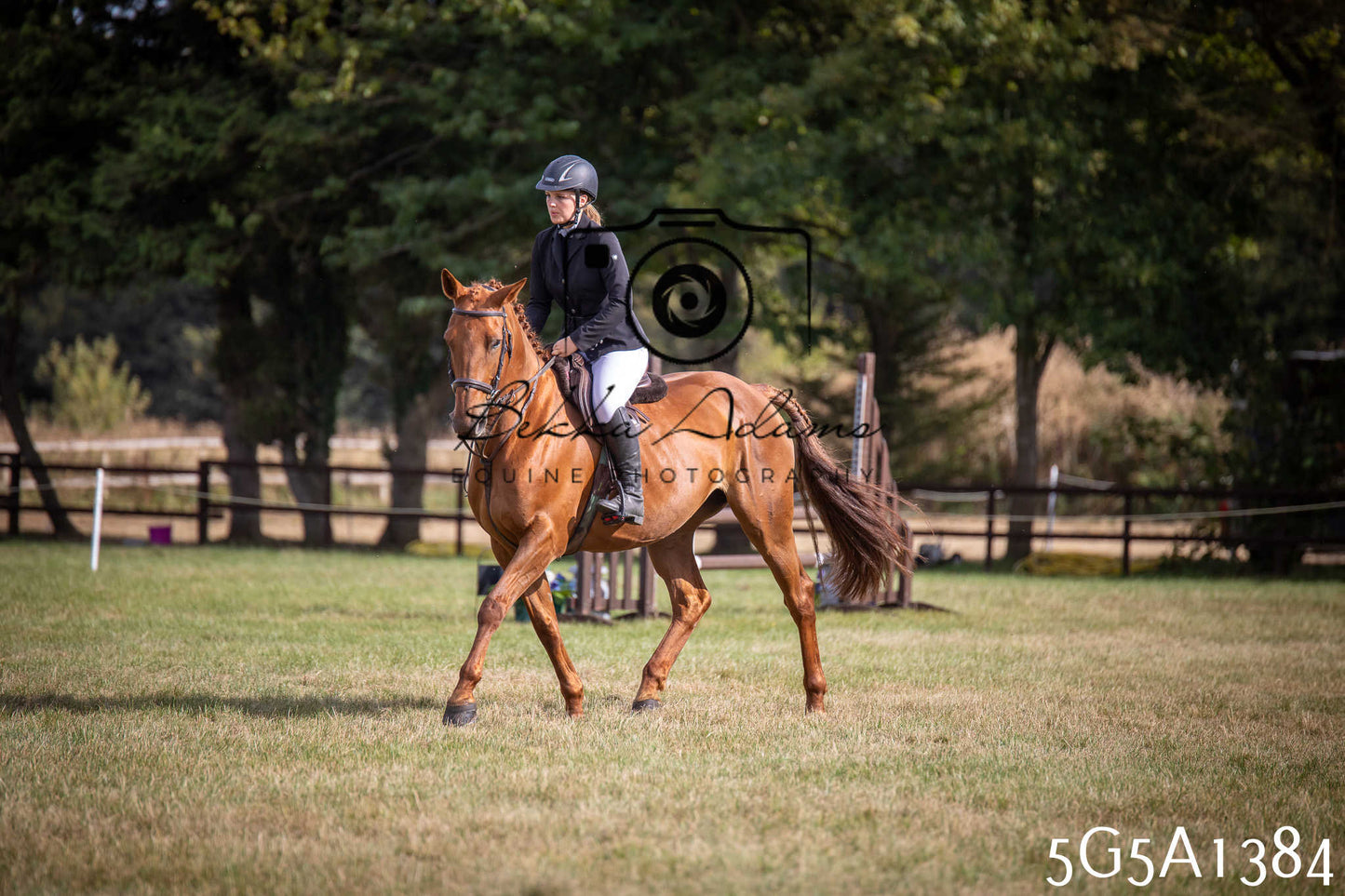 St Lawrence Charity Horse Show - Saturday pt3