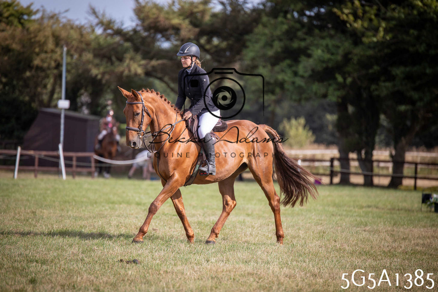 St Lawrence Charity Horse Show - Saturday pt3