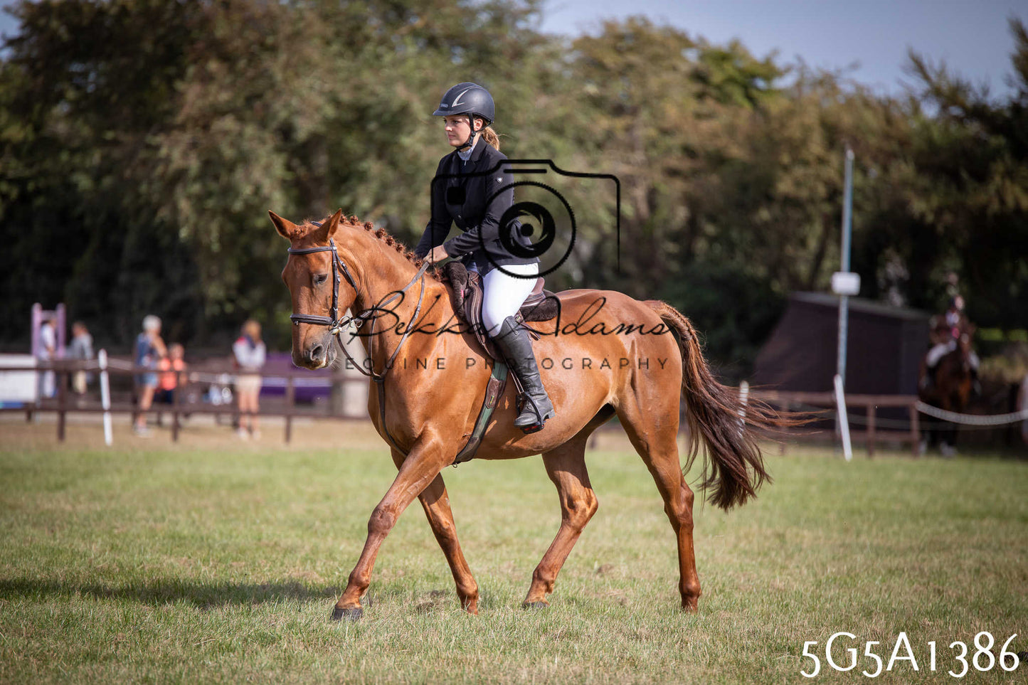 St Lawrence Charity Horse Show - Saturday pt3