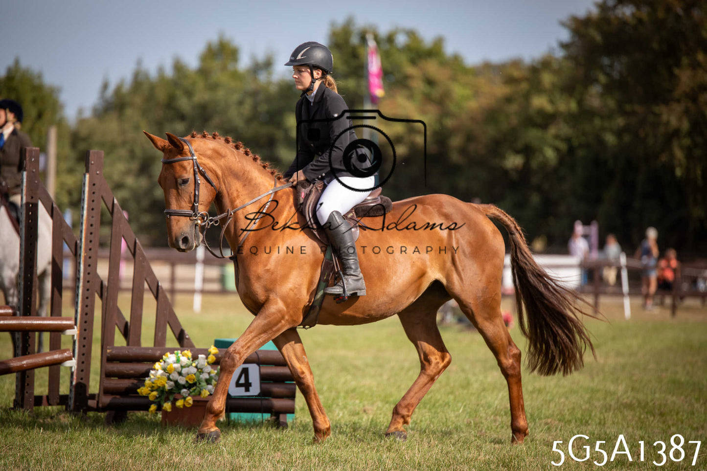 St Lawrence Charity Horse Show - Saturday pt3