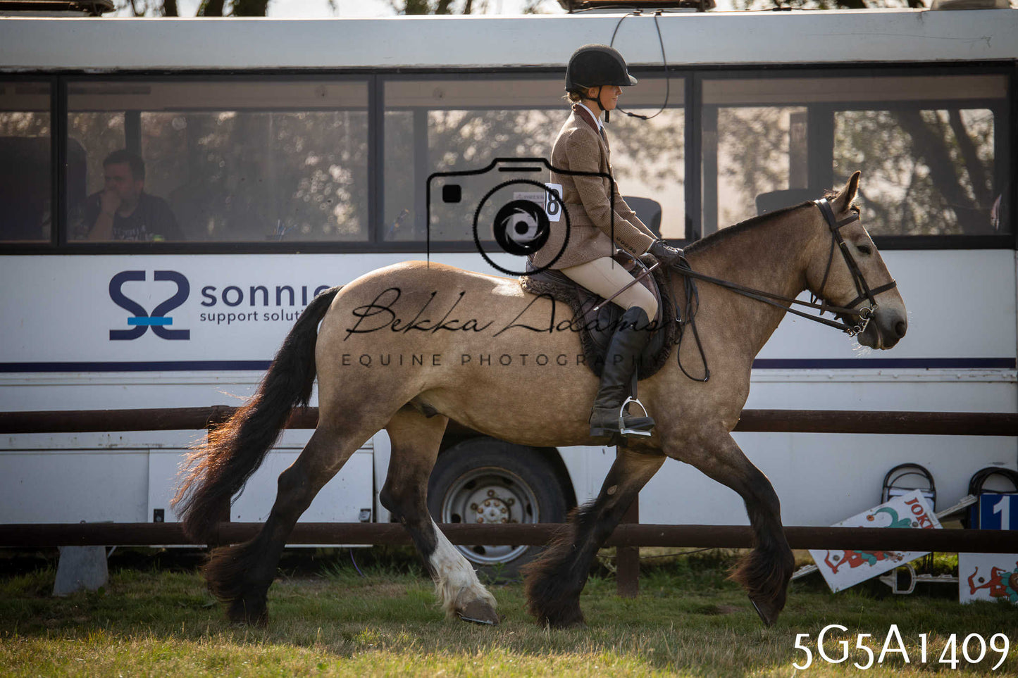 St Lawrence Charity Horse Show - Saturday pt3