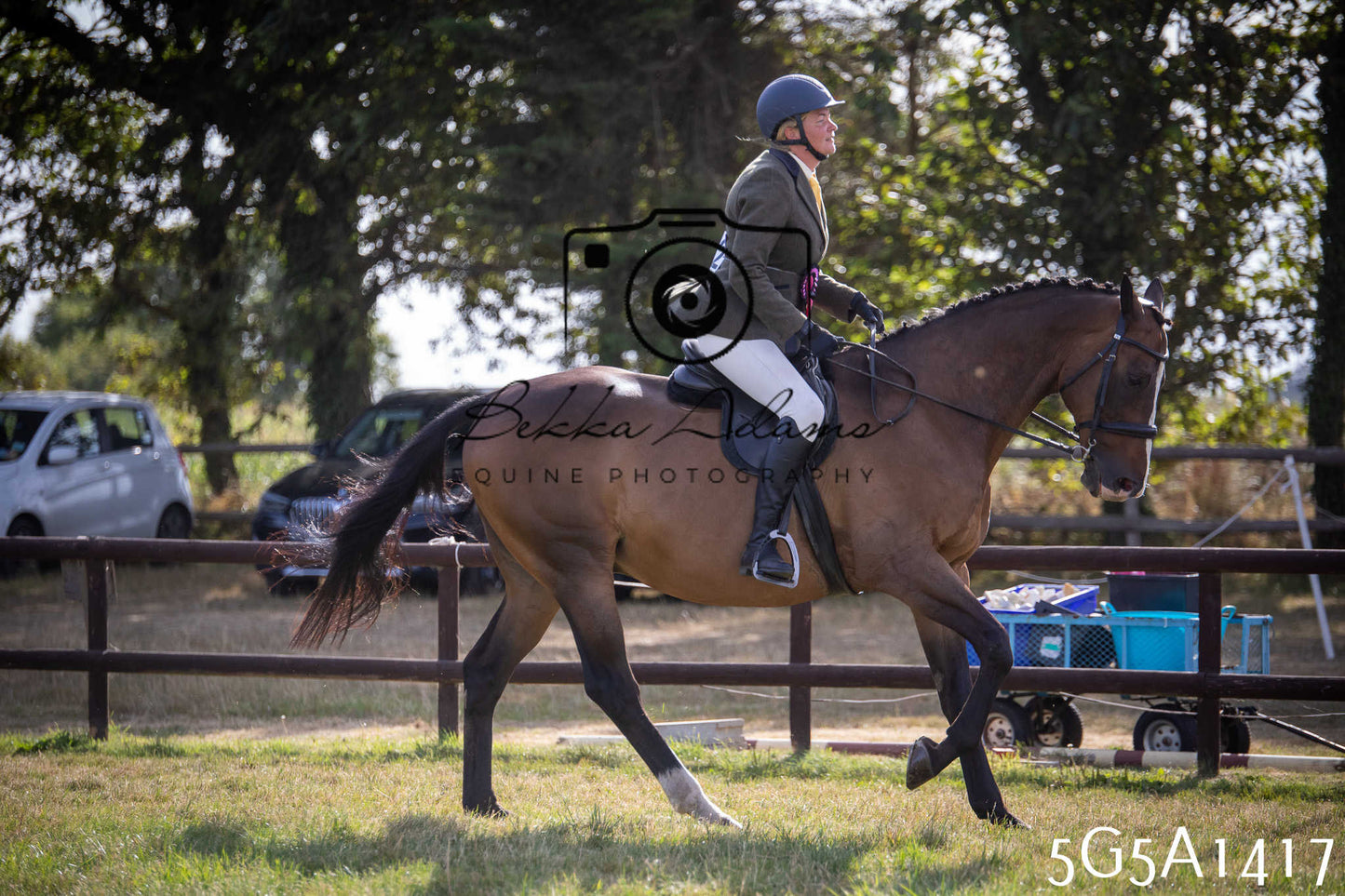 St Lawrence Charity Horse Show - Saturday pt3
