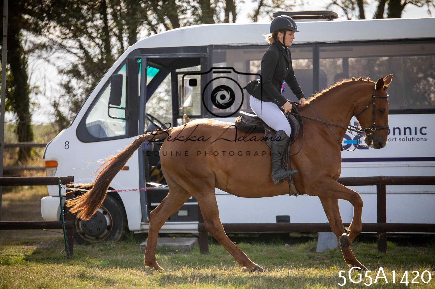 St Lawrence Charity Horse Show - Saturday pt3
