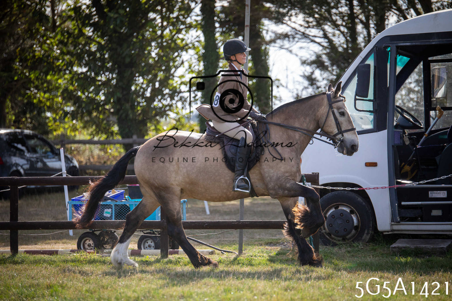 St Lawrence Charity Horse Show - Saturday pt3