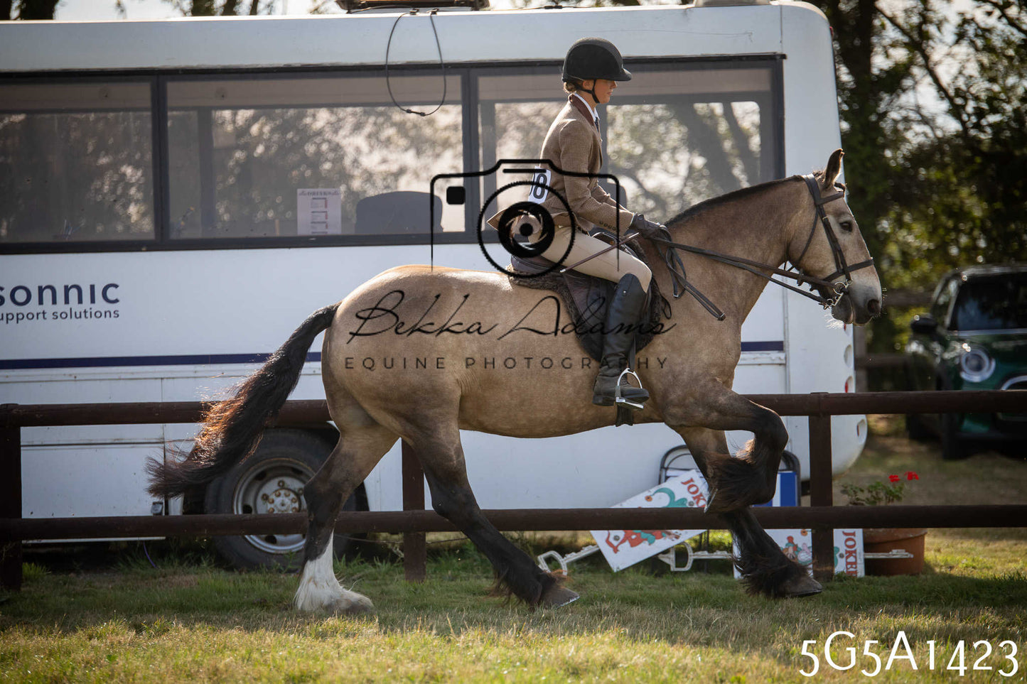 St Lawrence Charity Horse Show - Saturday pt3