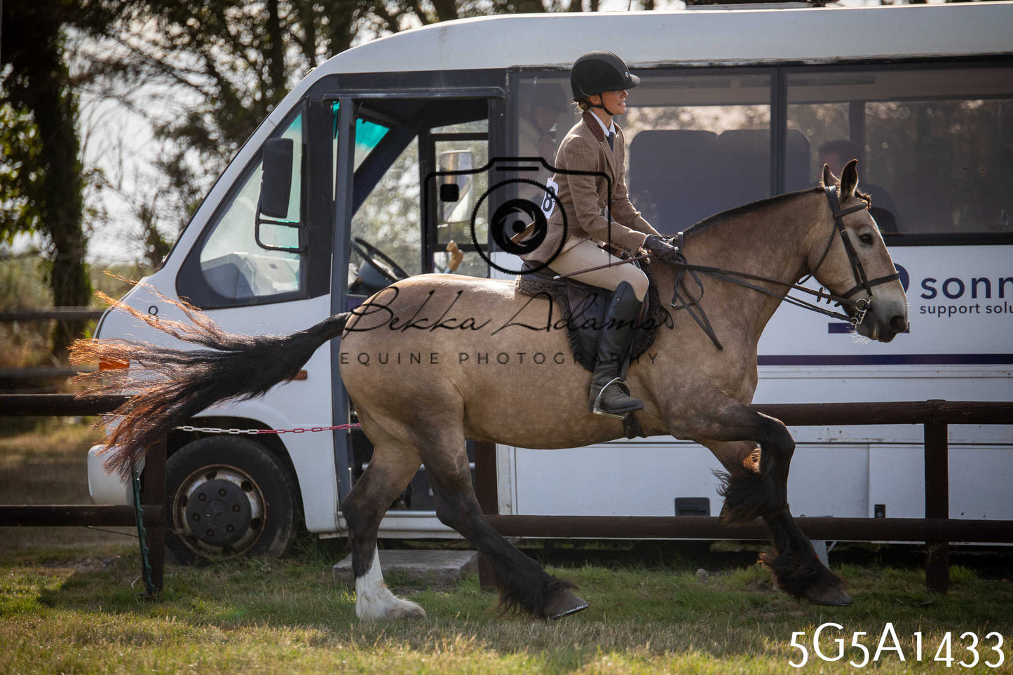 St Lawrence Charity Horse Show - Saturday pt3