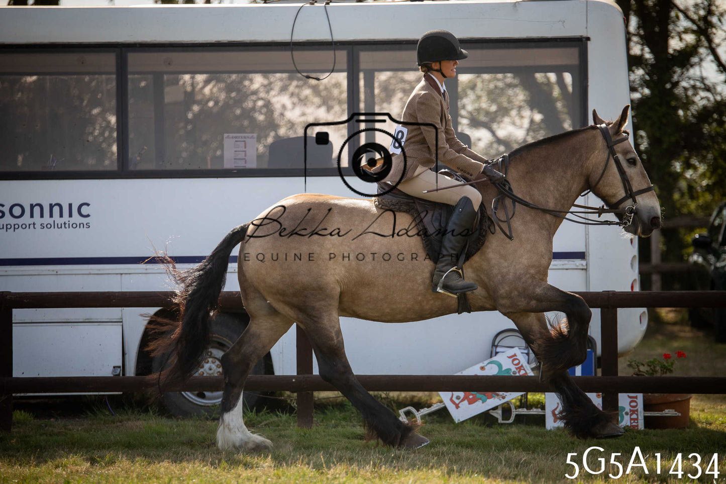 St Lawrence Charity Horse Show - Saturday pt3