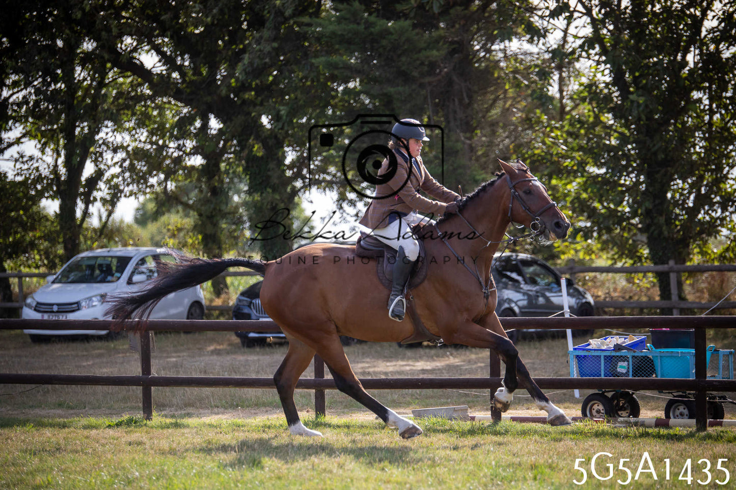 St Lawrence Charity Horse Show - Saturday pt3